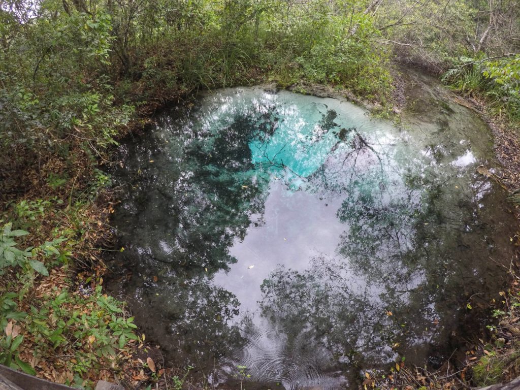 Rio Sucuri - Bonito, MS